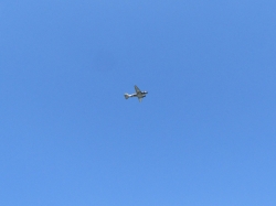 dday22air09.jpg