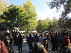 oren22051.jpg
