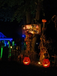 Filename=randy003.jpg
Filesize=446KiB
Dimensions=1932x2576
Date added=Oct 24, 2022 randy003.jpg