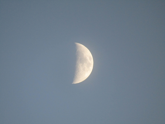 halfmoon3.jpg