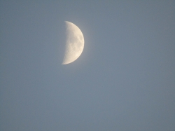 halfmoon2.jpg