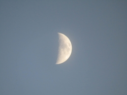 halfmoon3.jpg