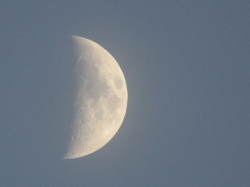 halfmoon5.jpg