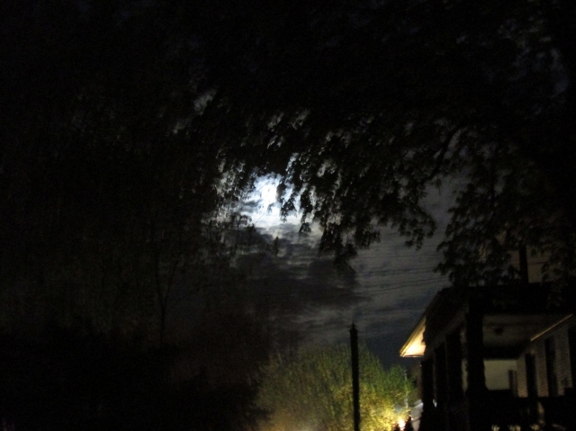 moonapril2102.jpg