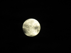 moonapril2108.jpg
