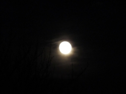 novmoon03.jpg