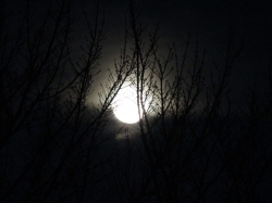 novmoon04.jpg