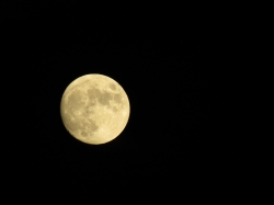 novmoon07.jpg