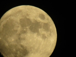 novmoon10.jpg