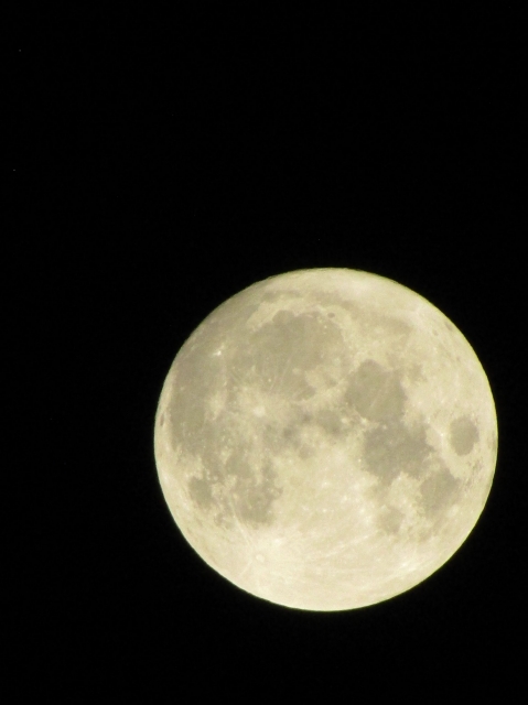 augbluemoon1.jpg
