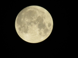 augbluemoon2.jpg