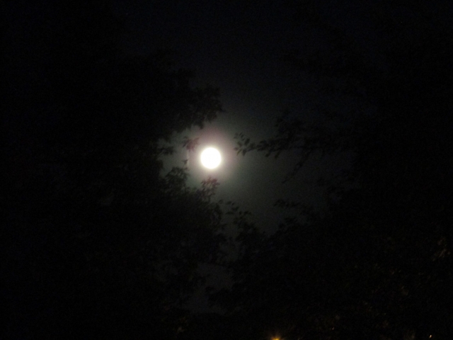 augmoon04.jpg