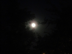 augmoon04.jpg