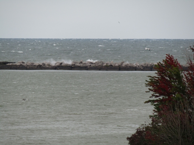 lake10109.jpg