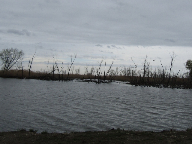 lake5606.jpg