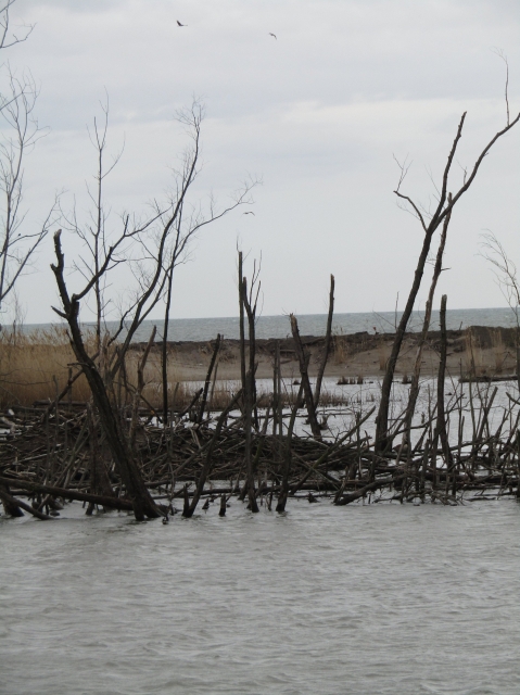lake5607.jpg