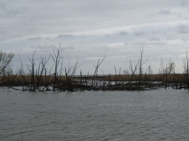 lake5608.jpg