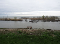lake5601.jpg