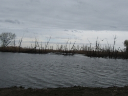 lake5606.jpg