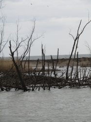lake5607.jpg