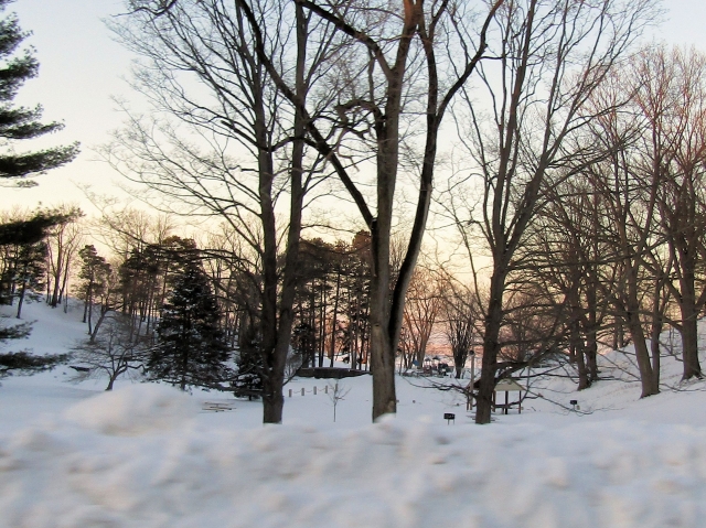 snowtrip20.jpg