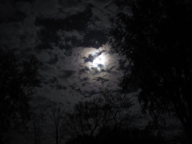 moon1701.jpg