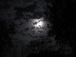 moon1701.jpg