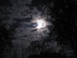 moon1702.jpg