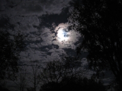moon1703.jpg