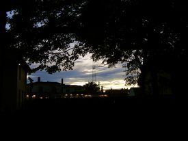fallnight11.jpg