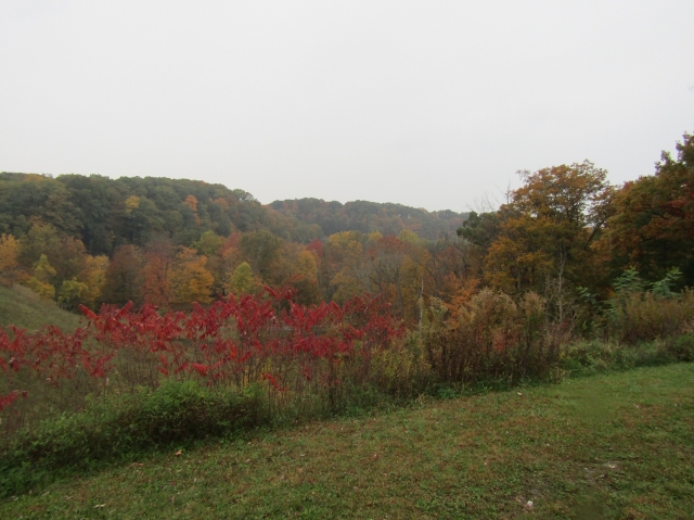 fall2603.jpg