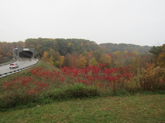 fall2604.jpg