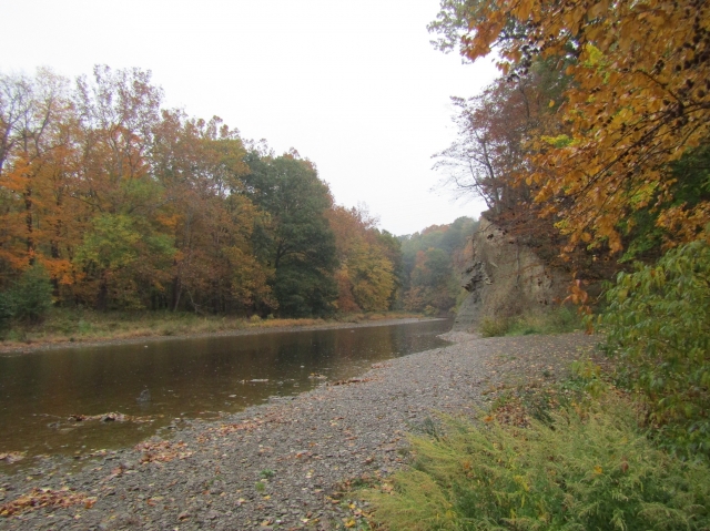 fall2605.jpg