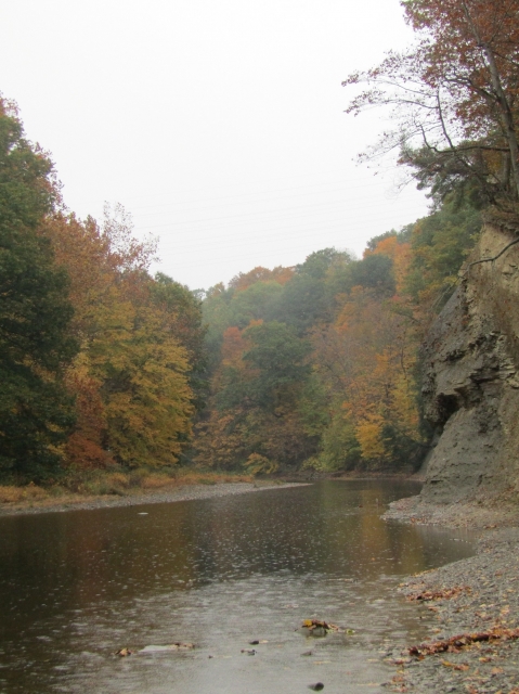 fall2606.jpg