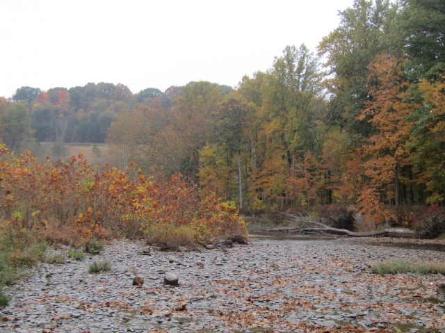 fall2607.jpg