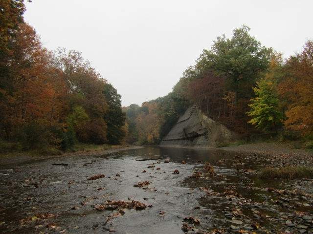 fall2609.jpg