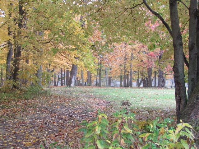fall2611.jpg