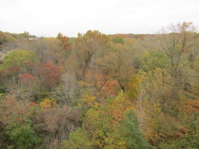 fall3003.jpg