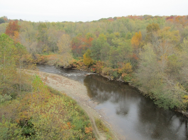 fall3007.jpg