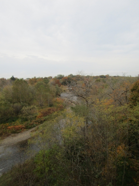 fall3015.jpg