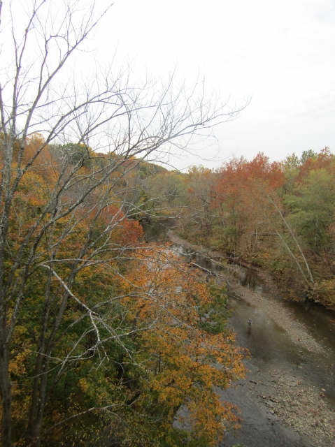 fall3016.jpg