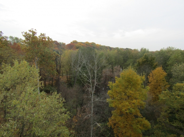 fall3022.jpg