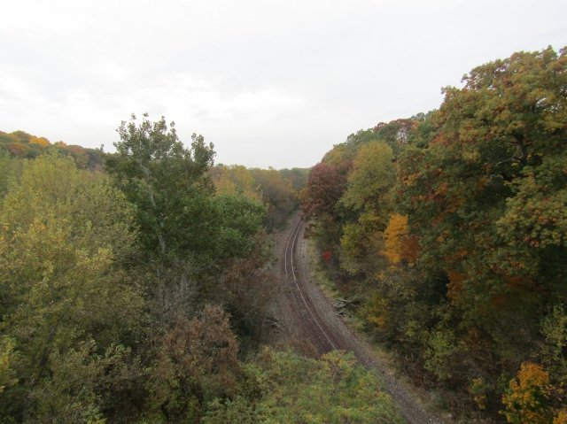 fall3026.jpg