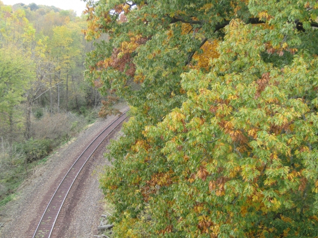 fall3027.jpg