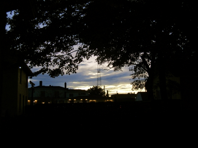 fallnight1.jpg