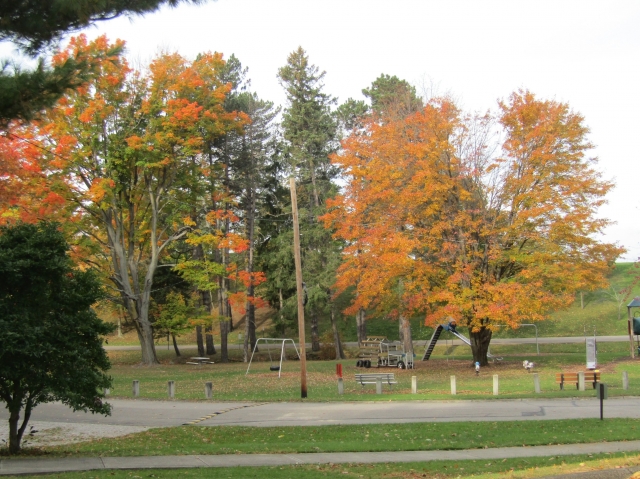 township11.jpg