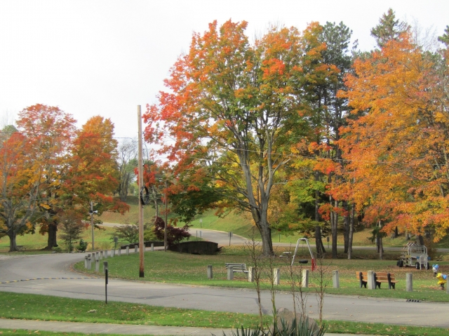 township12.jpg