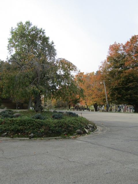 township13.jpg