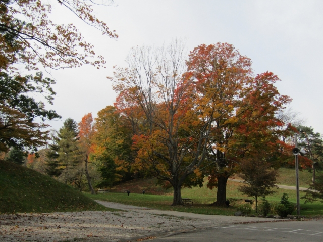 township20.jpg