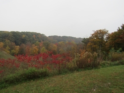 fall2603.jpg